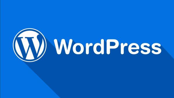 WordPress博客文章页添加阅读全文功能(阅读全文按钮)